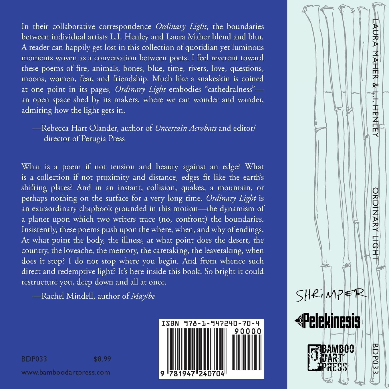 Rückseitencover Ordinary Light