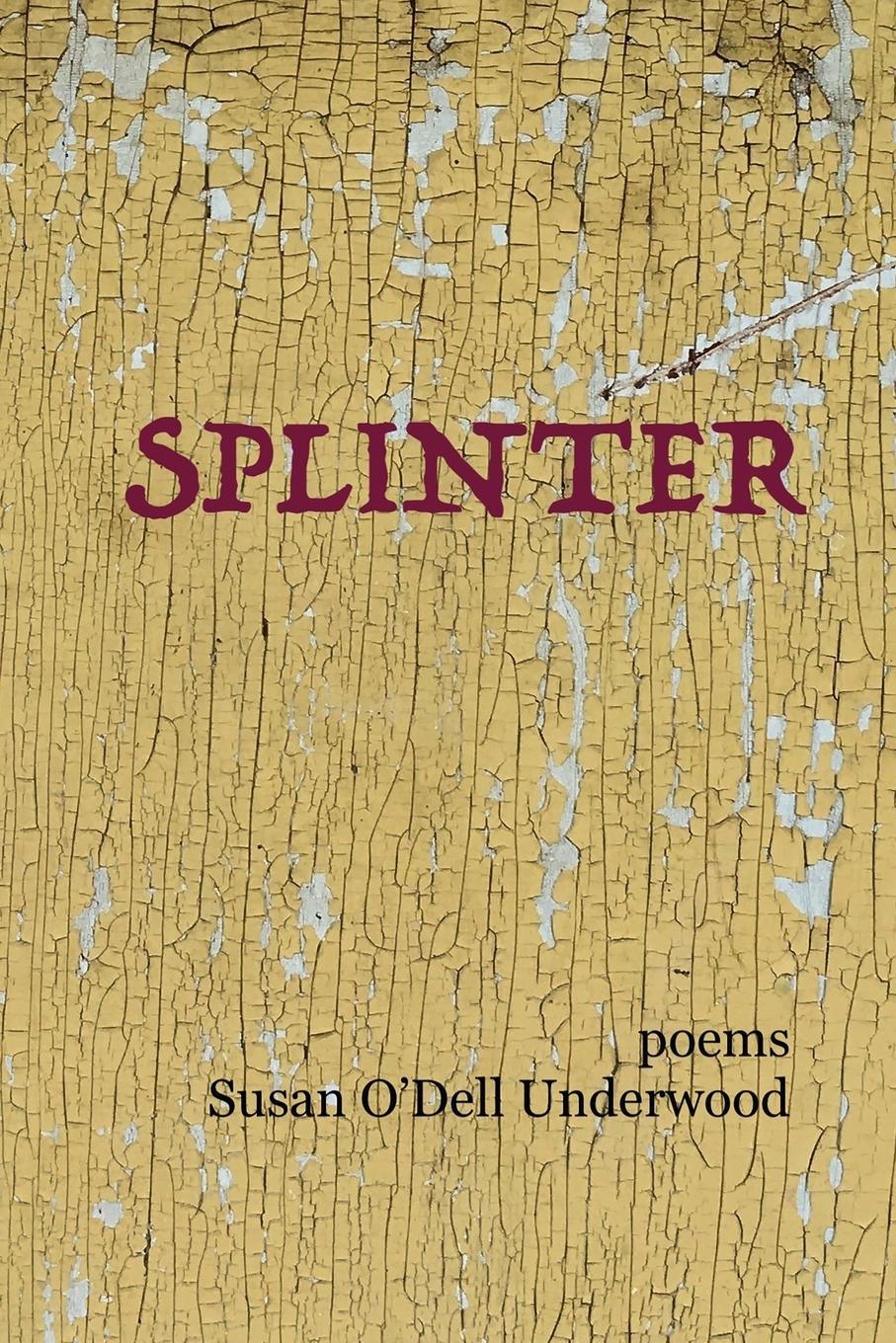 Vorderes Coverbild Splinter