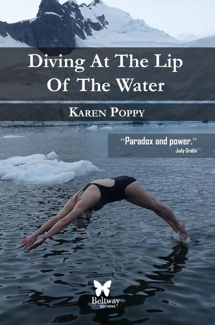 Vorderes Coverbild Diving at the Lip of the Water