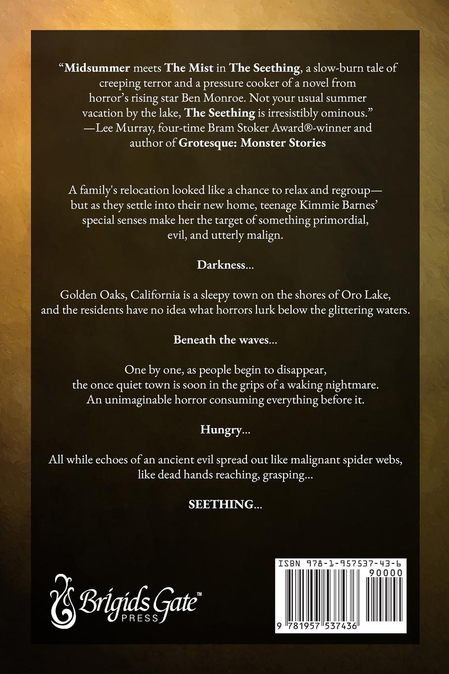 Rückseitencover The Seething