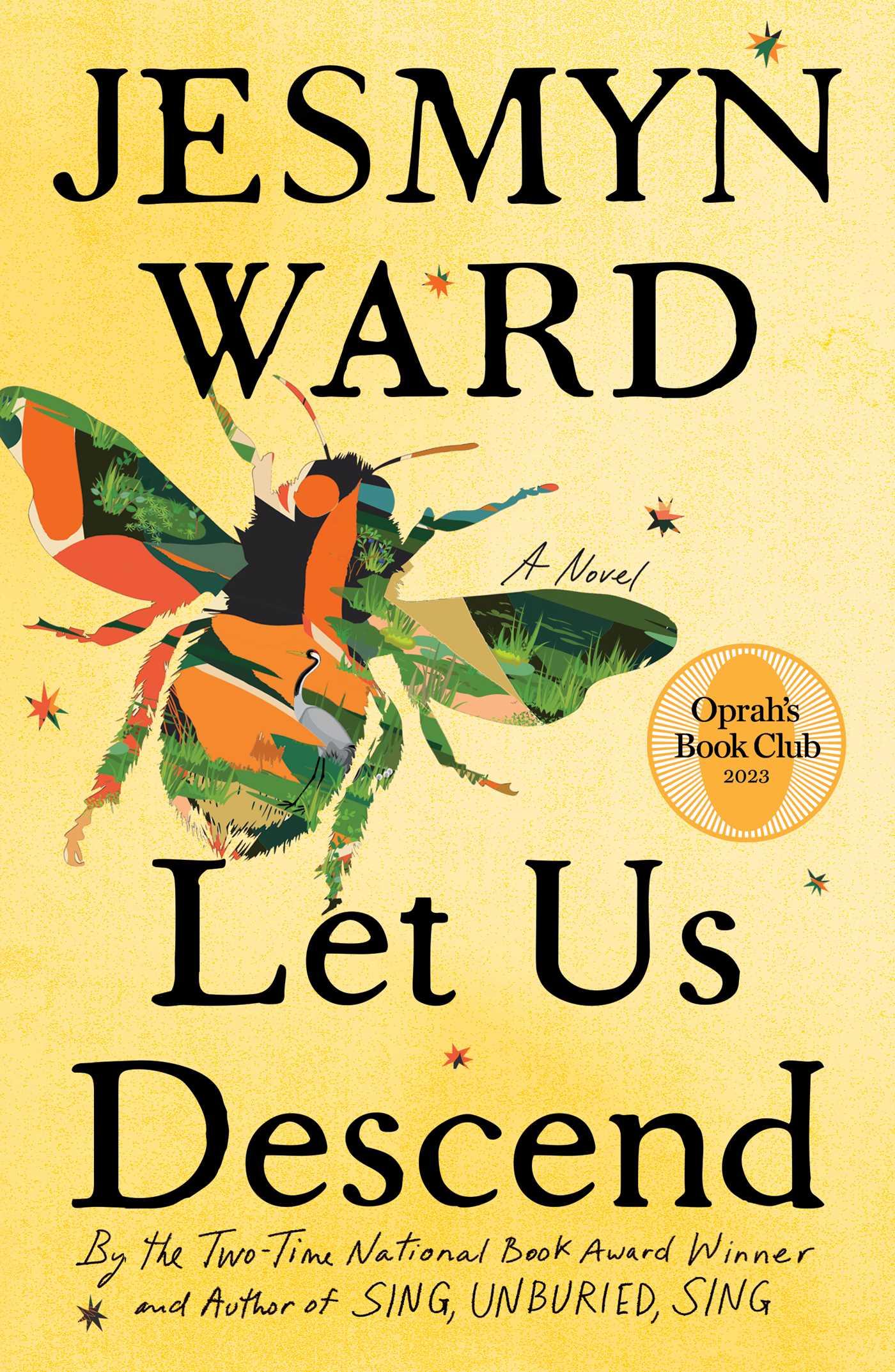 Vorderes Coverbild Let Us Descend (Oprah's Book Club)