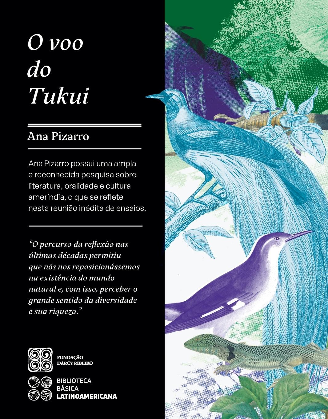 Vorderes Coverbild O voo do Tukui