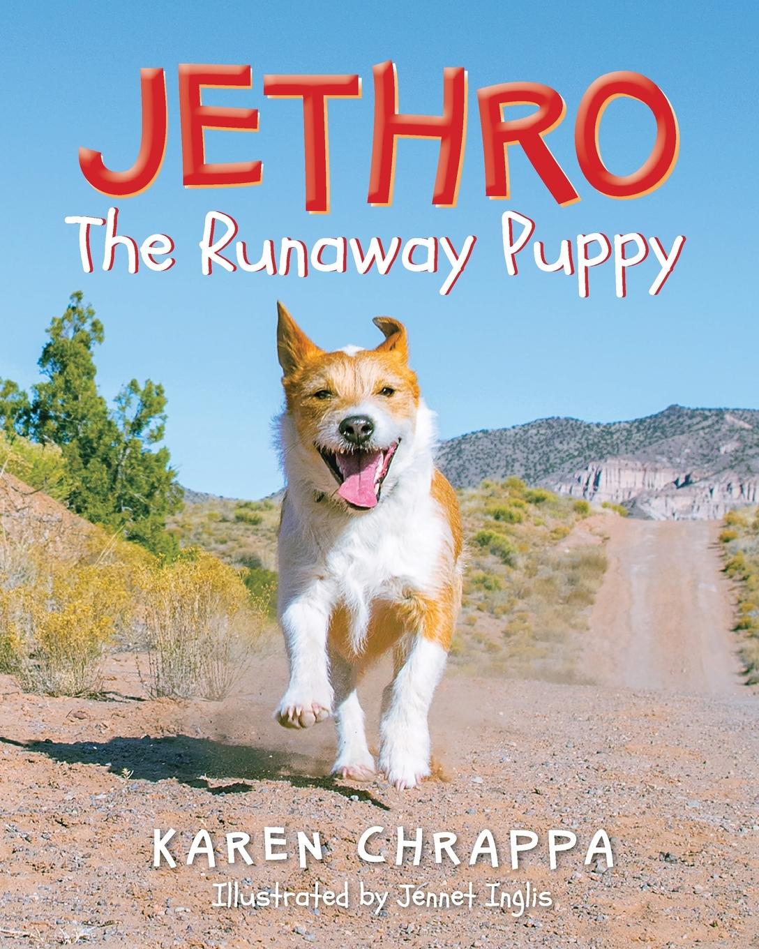 Vorderes Coverbild Jethro The Runaway Puppy