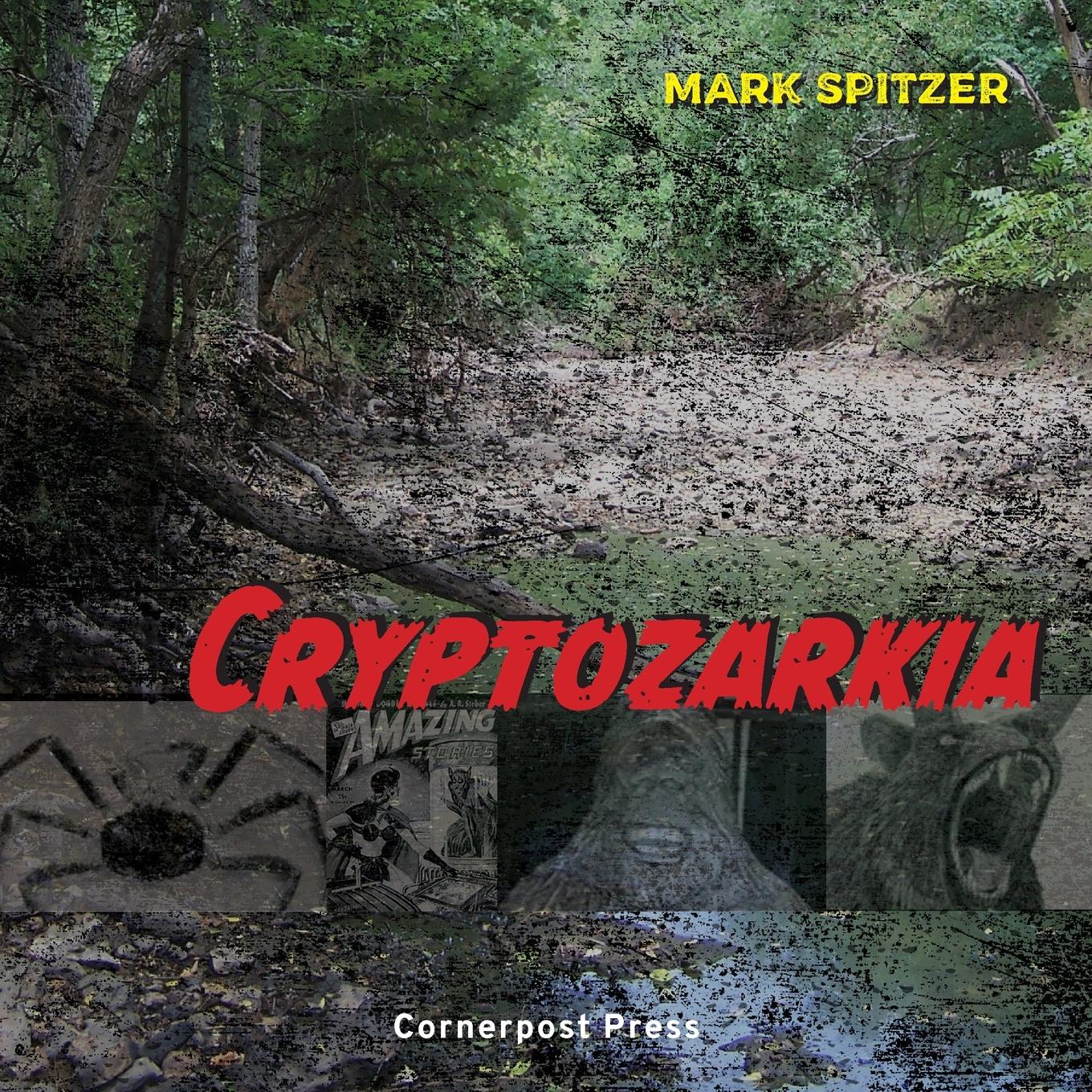 Vorderes Coverbild Cryptozarkia