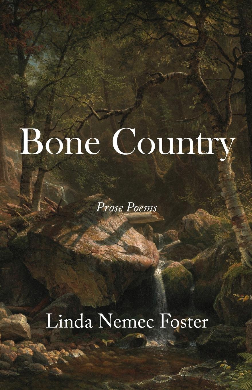 Vorderes Coverbild Bone Country
