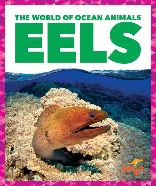 Vorderes Coverbild Eels