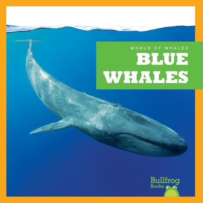 Vorderes Coverbild Blue Whales