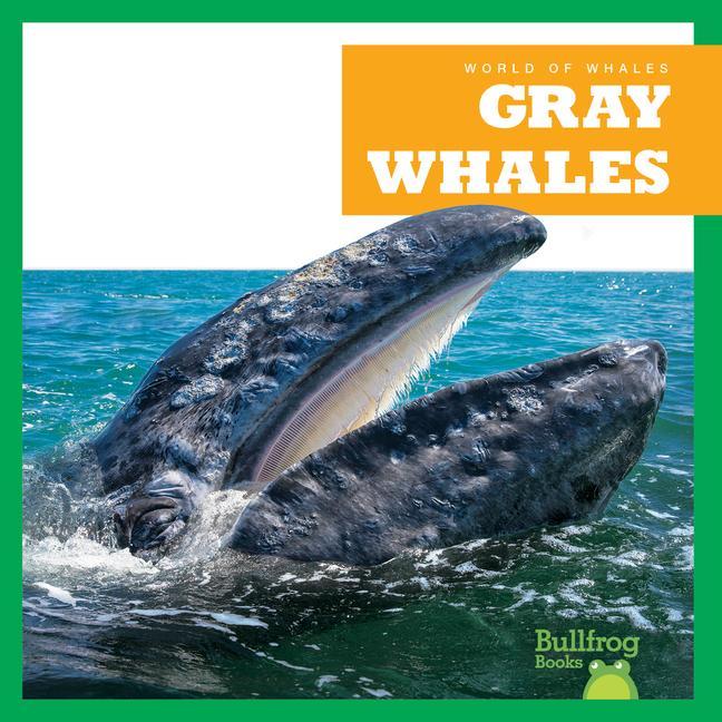 Vorderes Coverbild Gray Whales