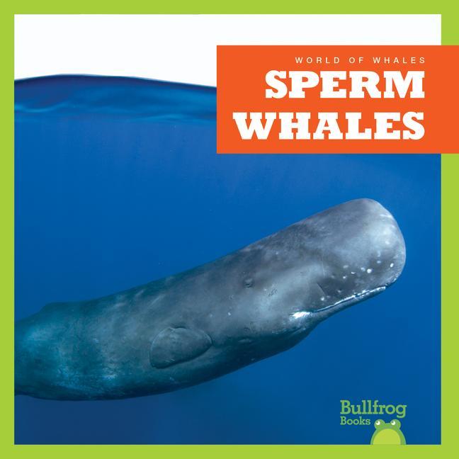 Vorderes Coverbild Sperm Whales