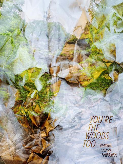 Vorderes Coverbild You're the Woods Too
