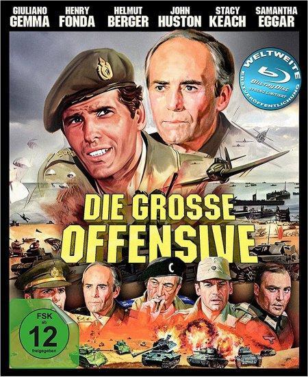 Vorderes Coverbild Die grosse Offensive