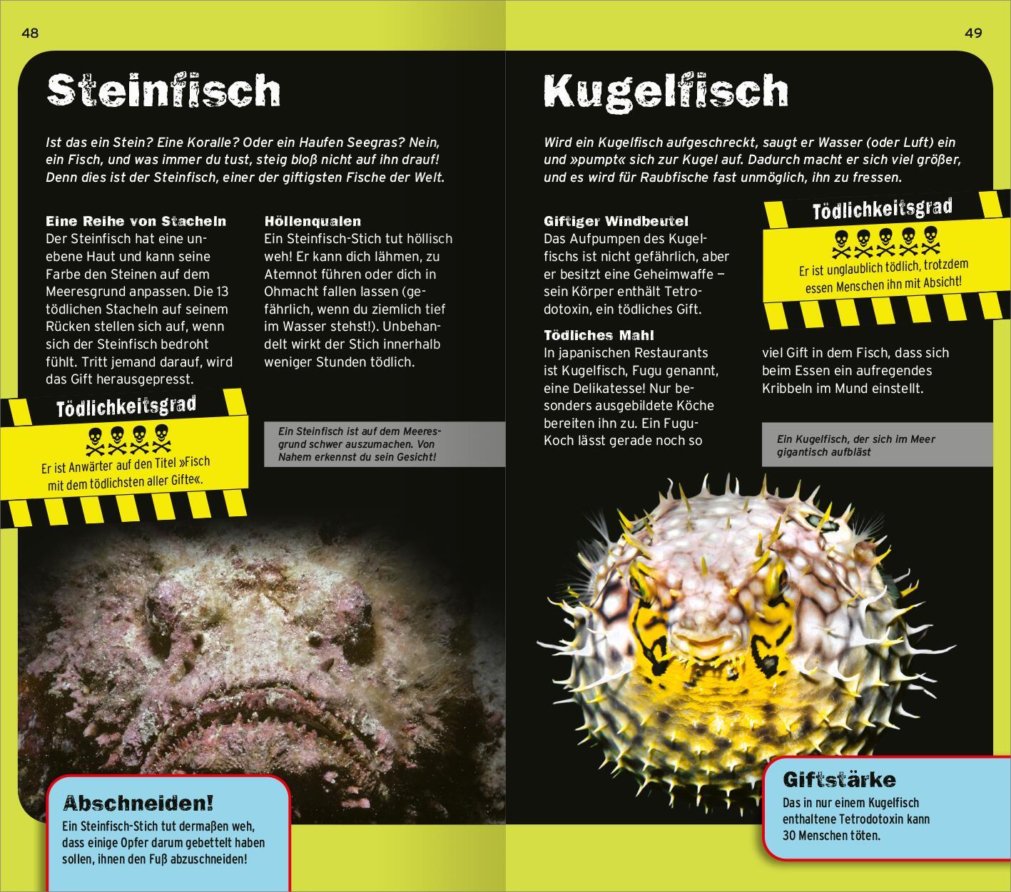 Beispielinhalt (Bild) Die 100 tödlichsten Dinge der Welt