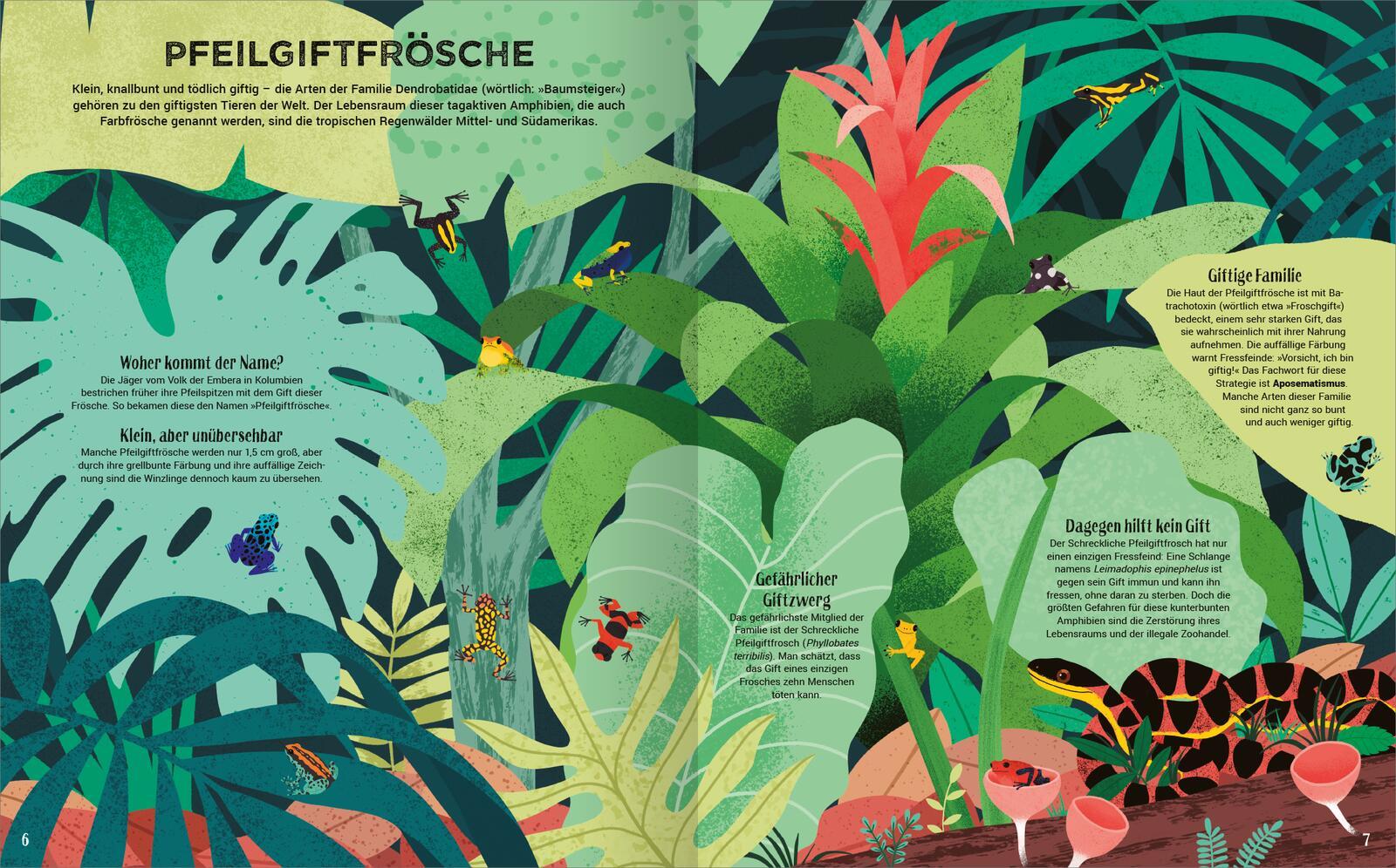 Beispielinhalt (Bild) Giftig!