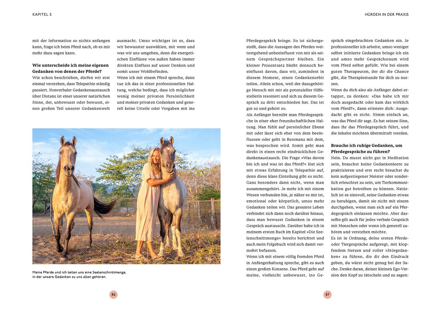 Beispielinhalt (Bild) Gespräche mit deinem Pferd
