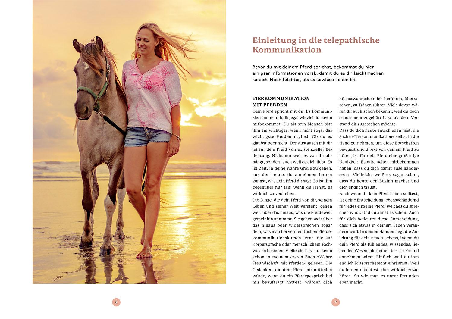 Beispielinhalt (Bild) Gespräche mit deinem Pferd