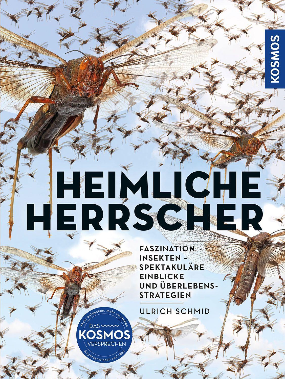 Vorderes Coverbild Insekten - Heimliche Herrscher