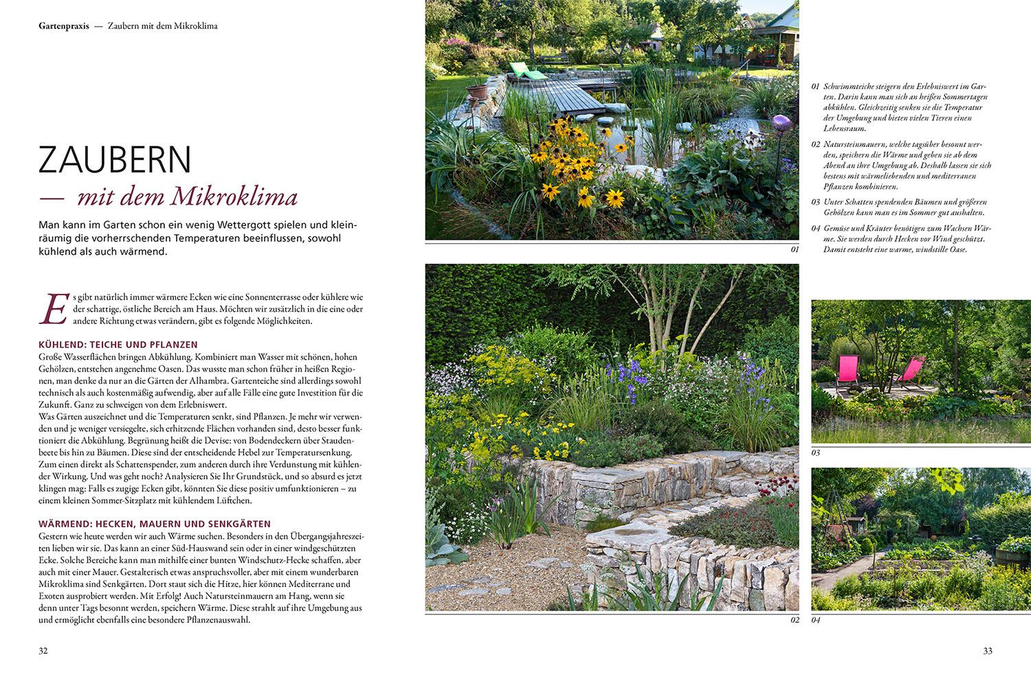 Beispielinhalt (Bild) Überlebenskünstler