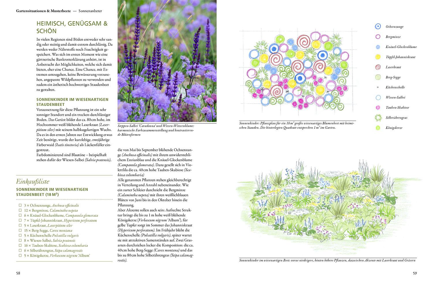 Beispielinhalt (Bild) Überlebenskünstler