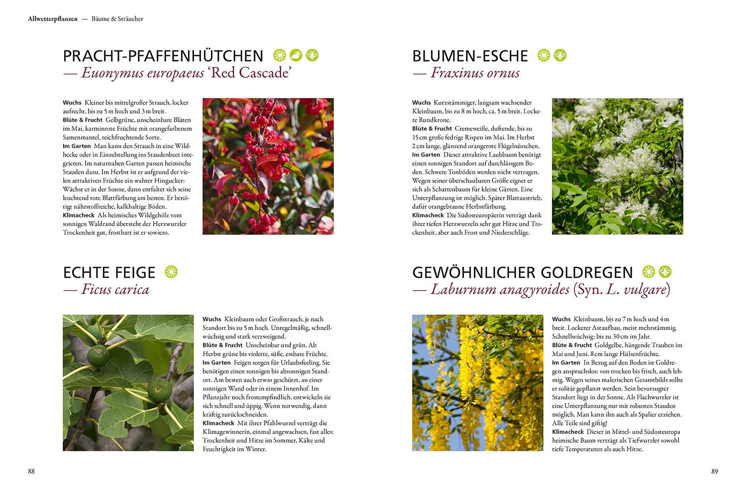 Beispielinhalt (Bild) Überlebenskünstler