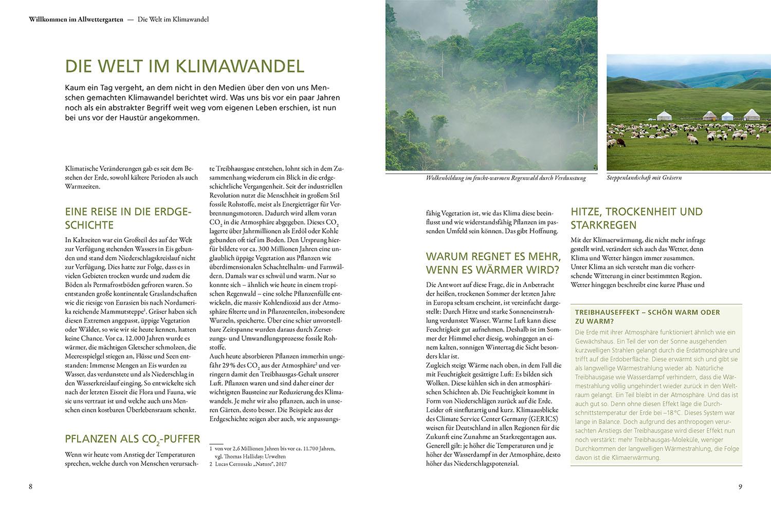 Beispielinhalt (Bild) Überlebenskünstler