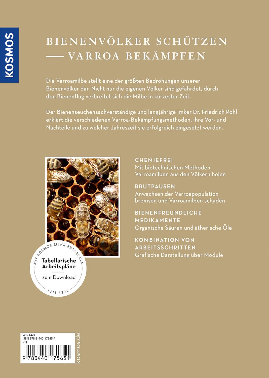 Beispielinhalt (Bild) Varroamilbe