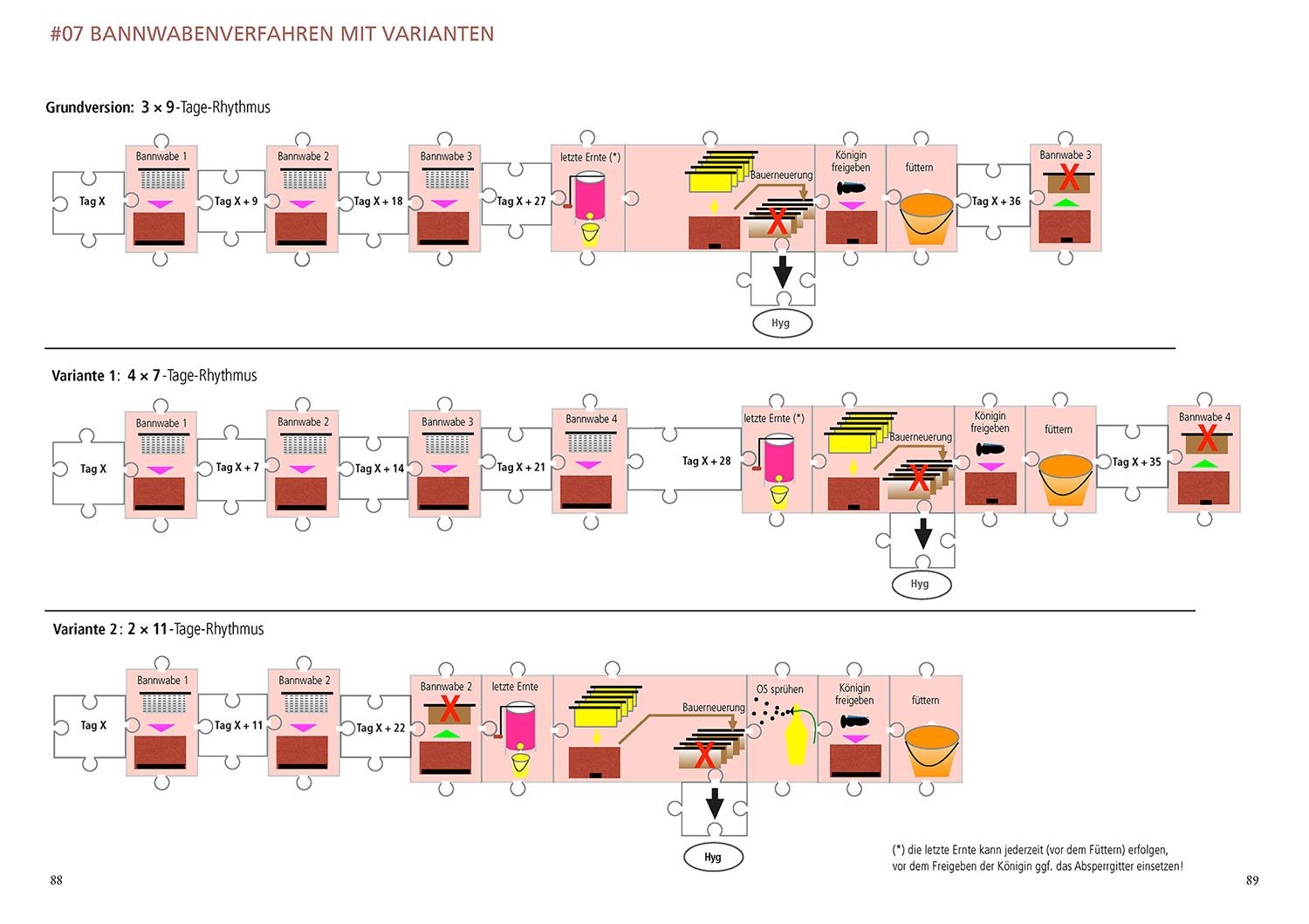 Beispielinhalt (Bild) Varroamilbe