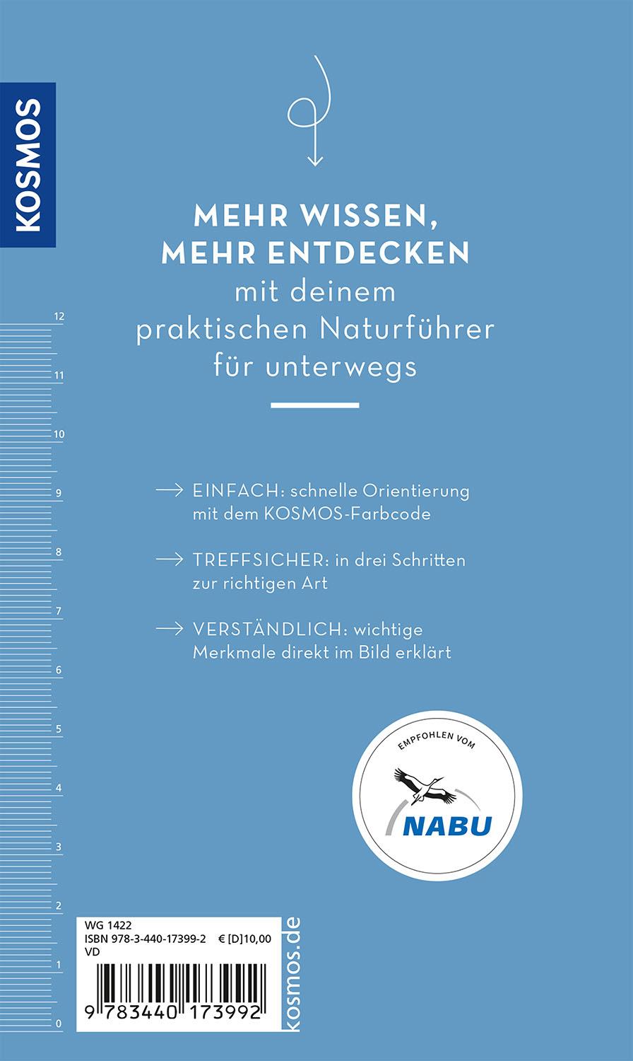 Beispielinhalt (Bild) Basic Alpenblumen