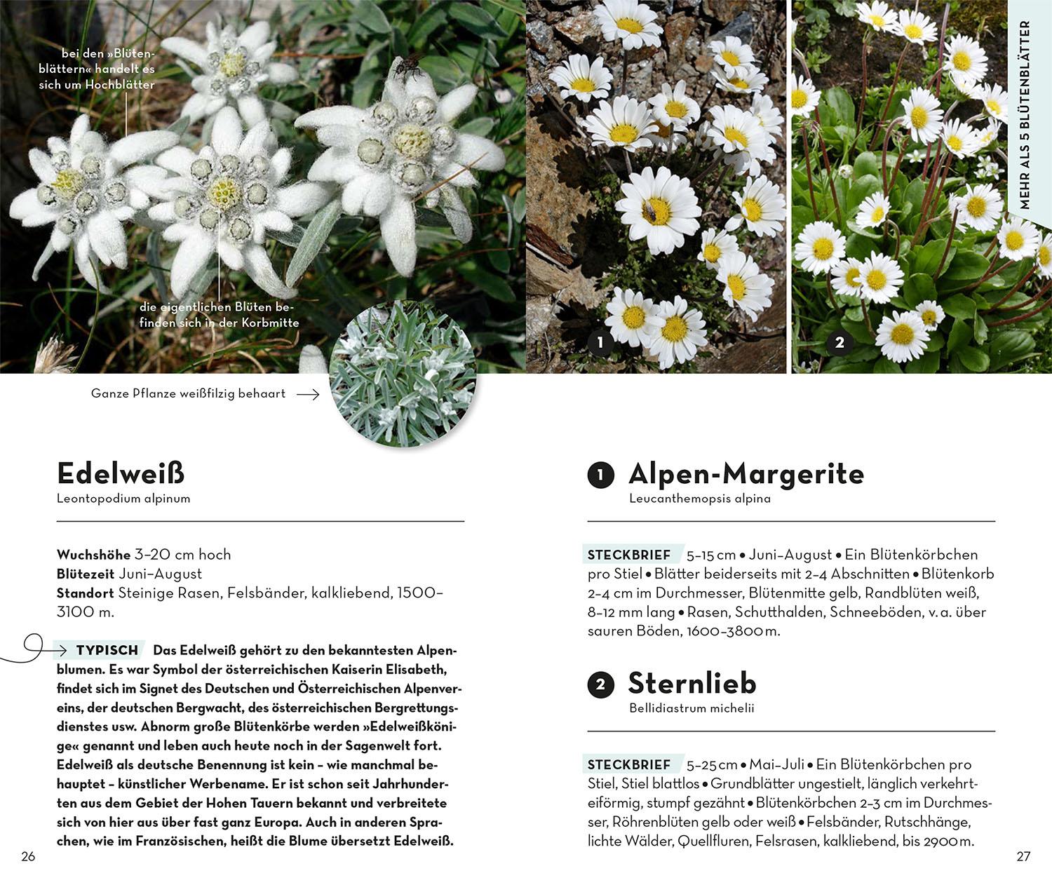 Beispielinhalt (Bild) Basic Alpenblumen