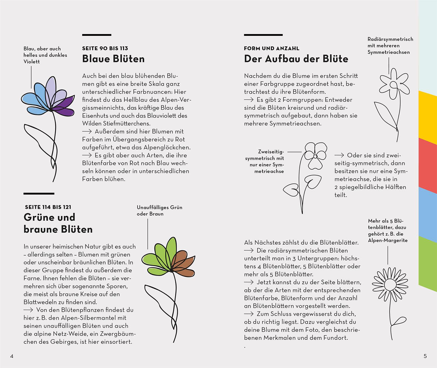 Beispielinhalt (Bild) Basic Alpenblumen