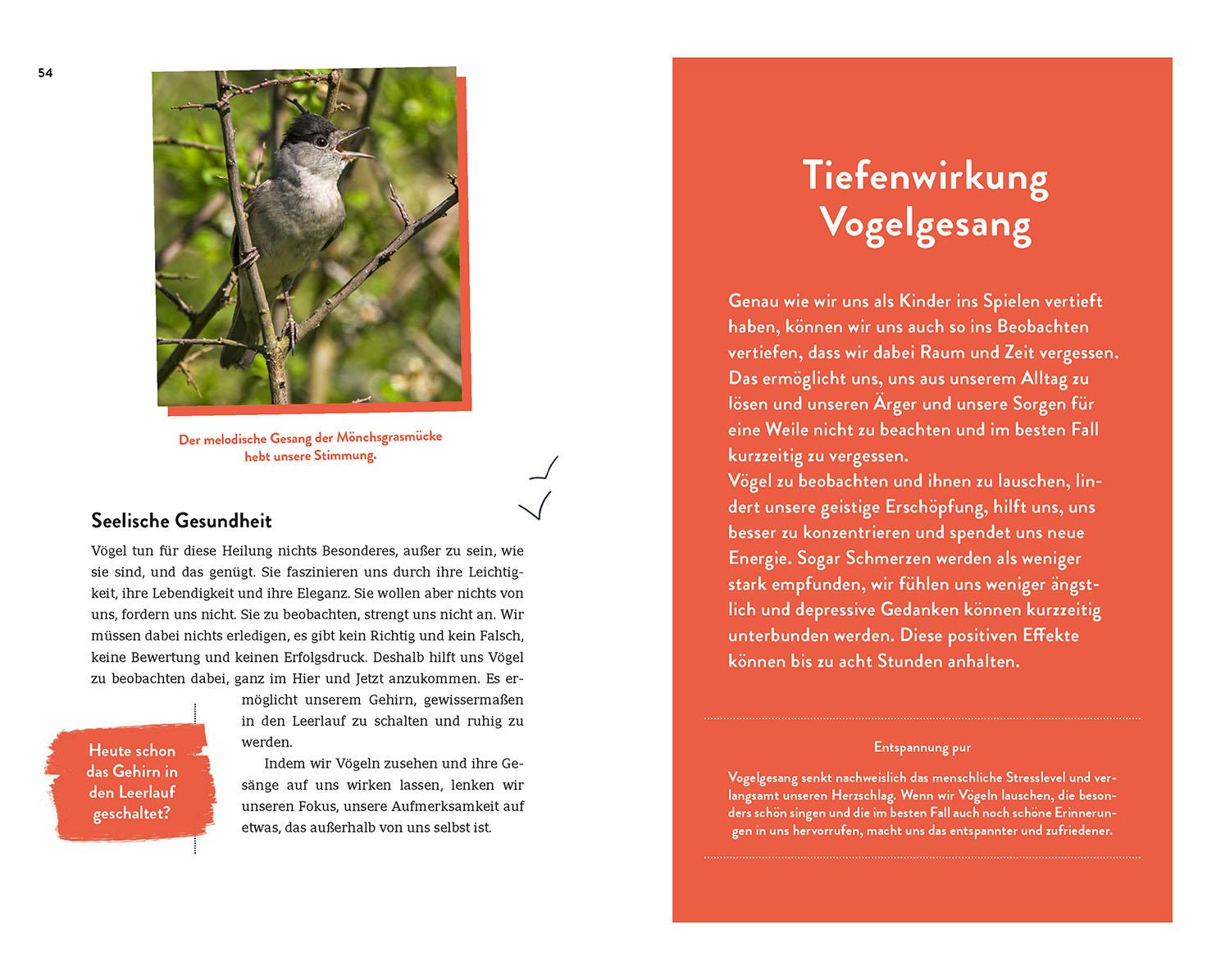 Beispielinhalt (Bild) Die Superkräfte der Vögel