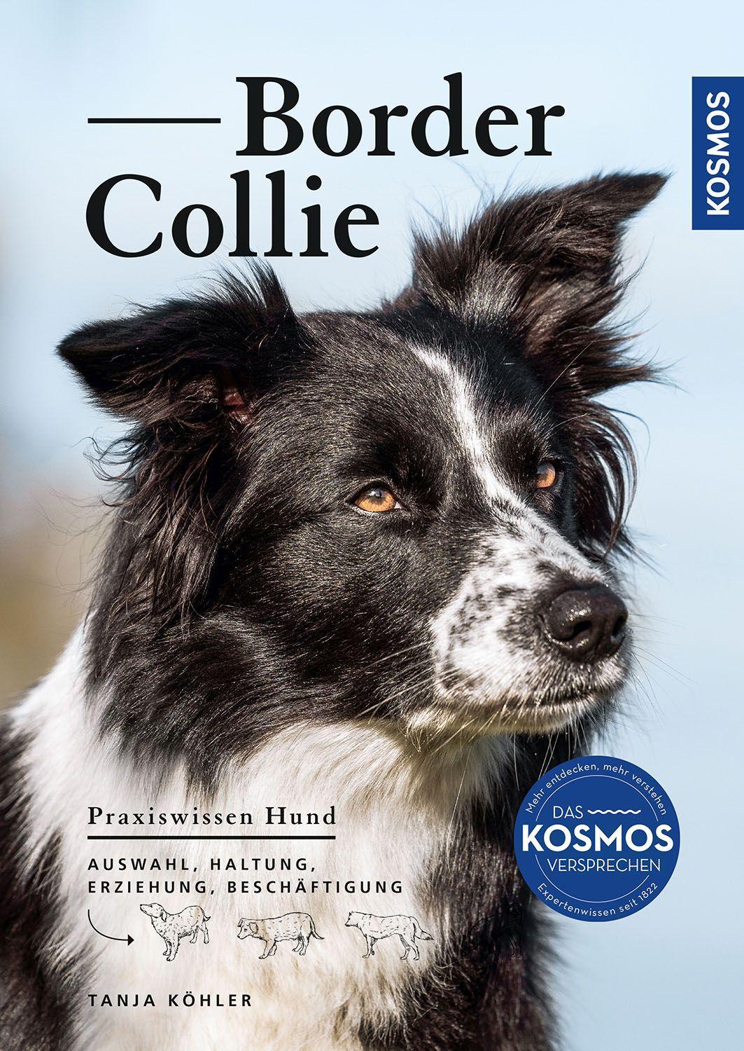 Vorderes Coverbild Border Collie