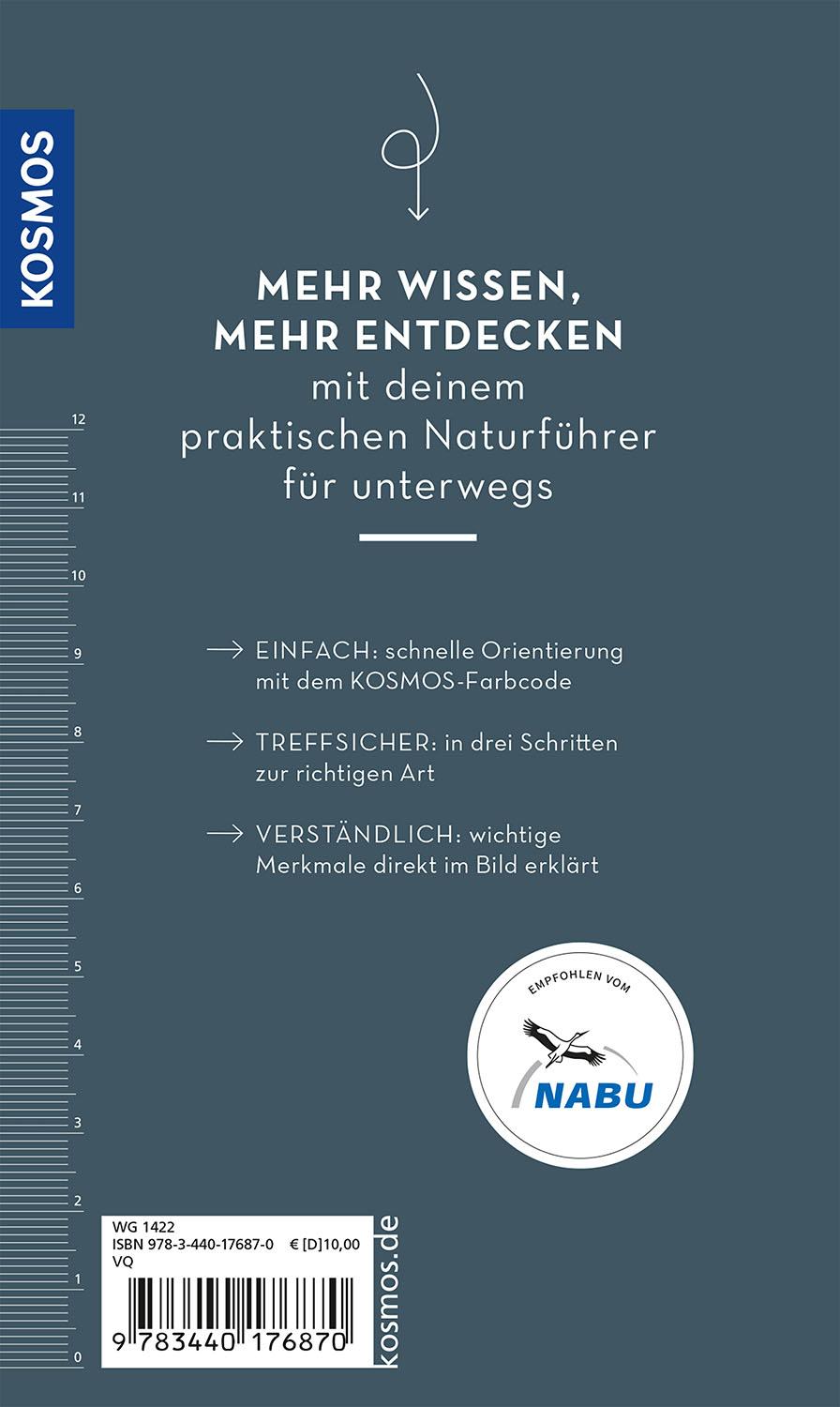 Rückseitencover Basic Spinnen