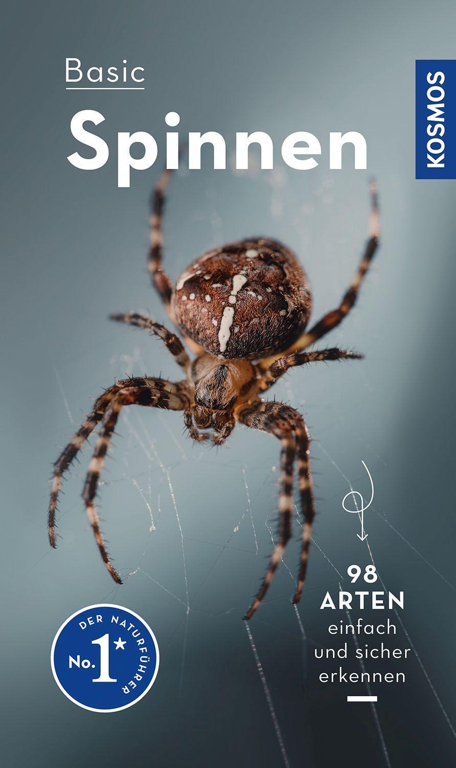 Vorderes Coverbild Basic Spinnen