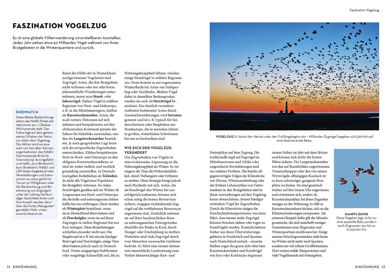Beispielinhalt (Bild) Das NABU-Vogelbuch