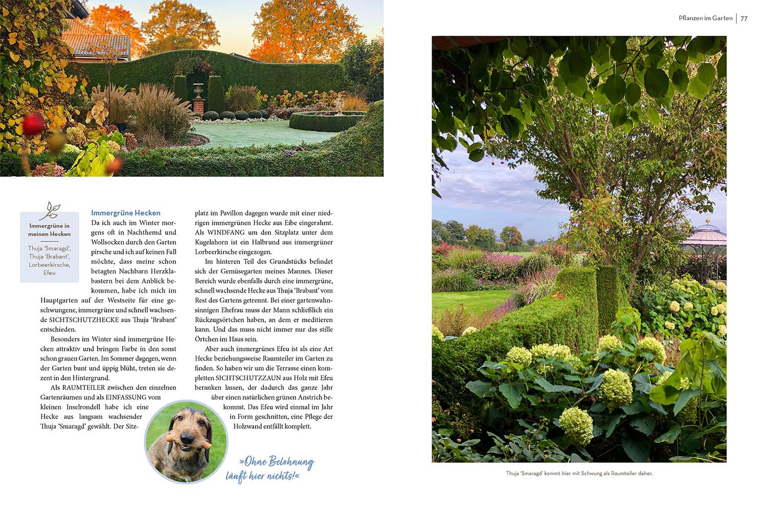 Beispielinhalt (Bild) Klotzen statt kleckern