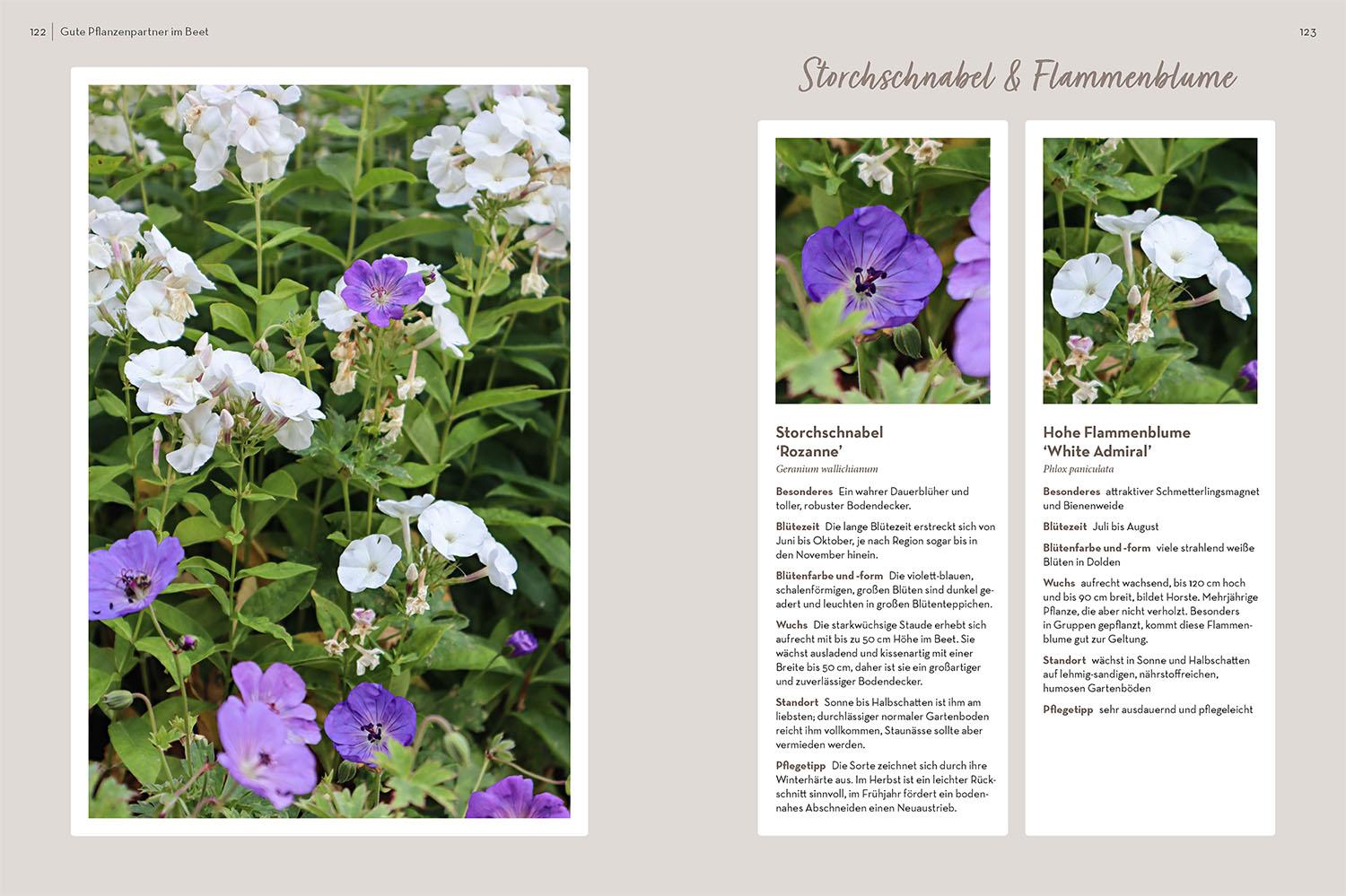 Beispielinhalt (Bild) Klotzen statt kleckern