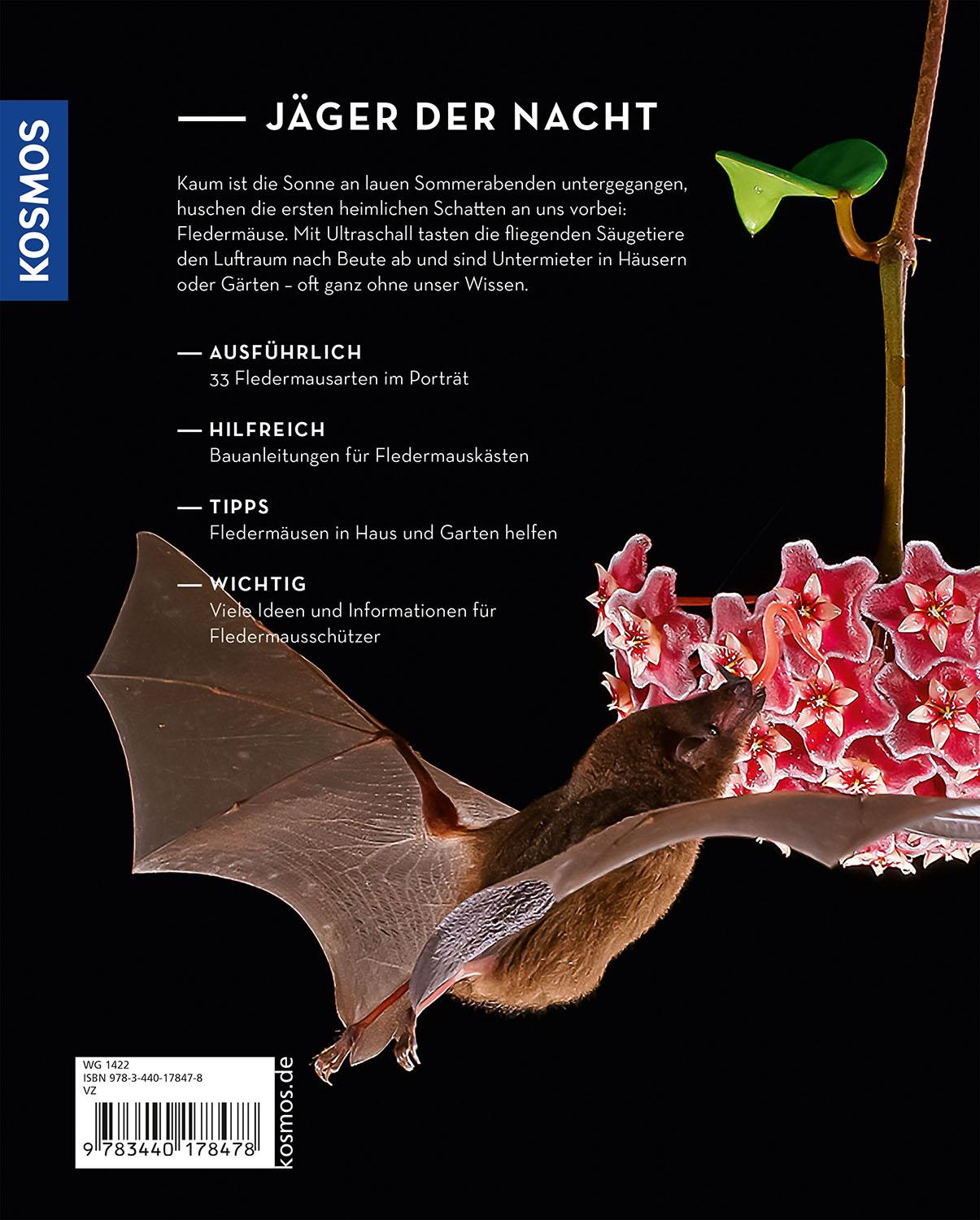 Rückseitencover Fledermäuse