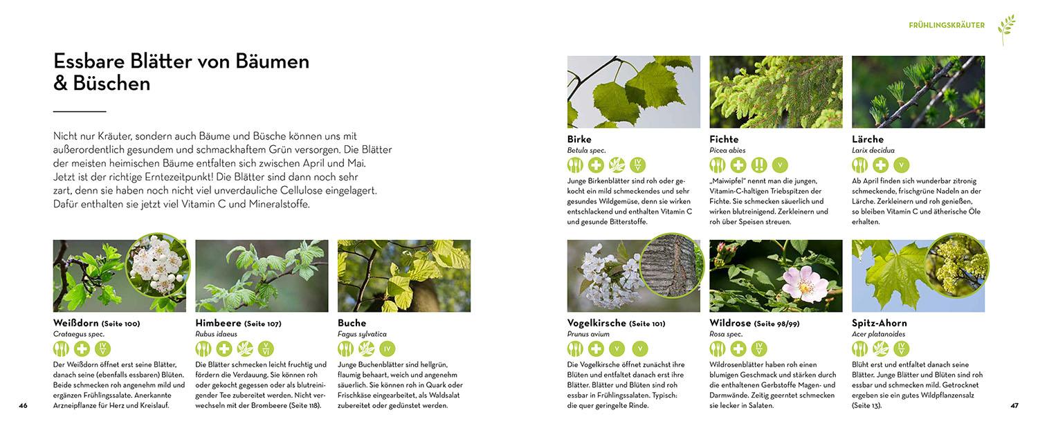 Beispielinhalt (Bild) Kann ich das essen oder bringt mich das um?