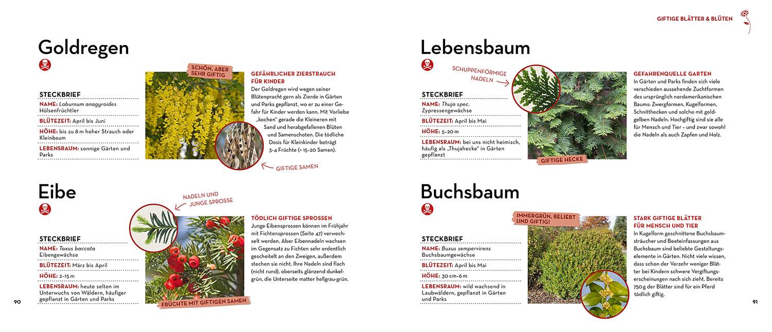 Beispielinhalt (Bild) Kann ich das essen oder bringt mich das um?