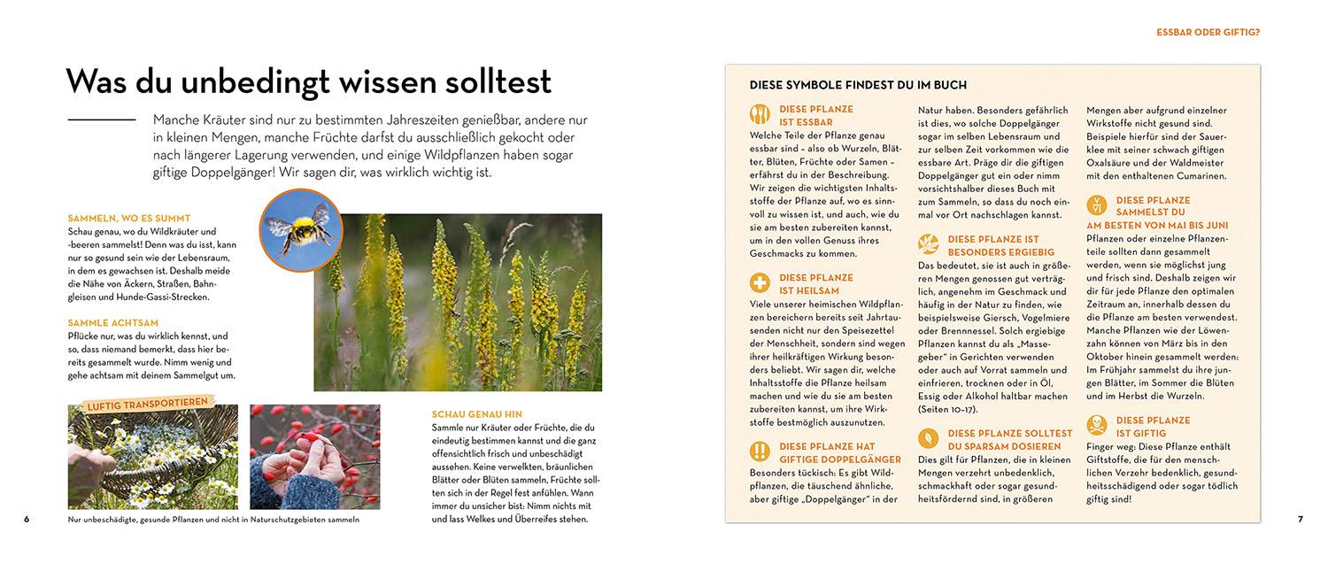 Beispielinhalt (Bild) Kann ich das essen oder bringt mich das um?