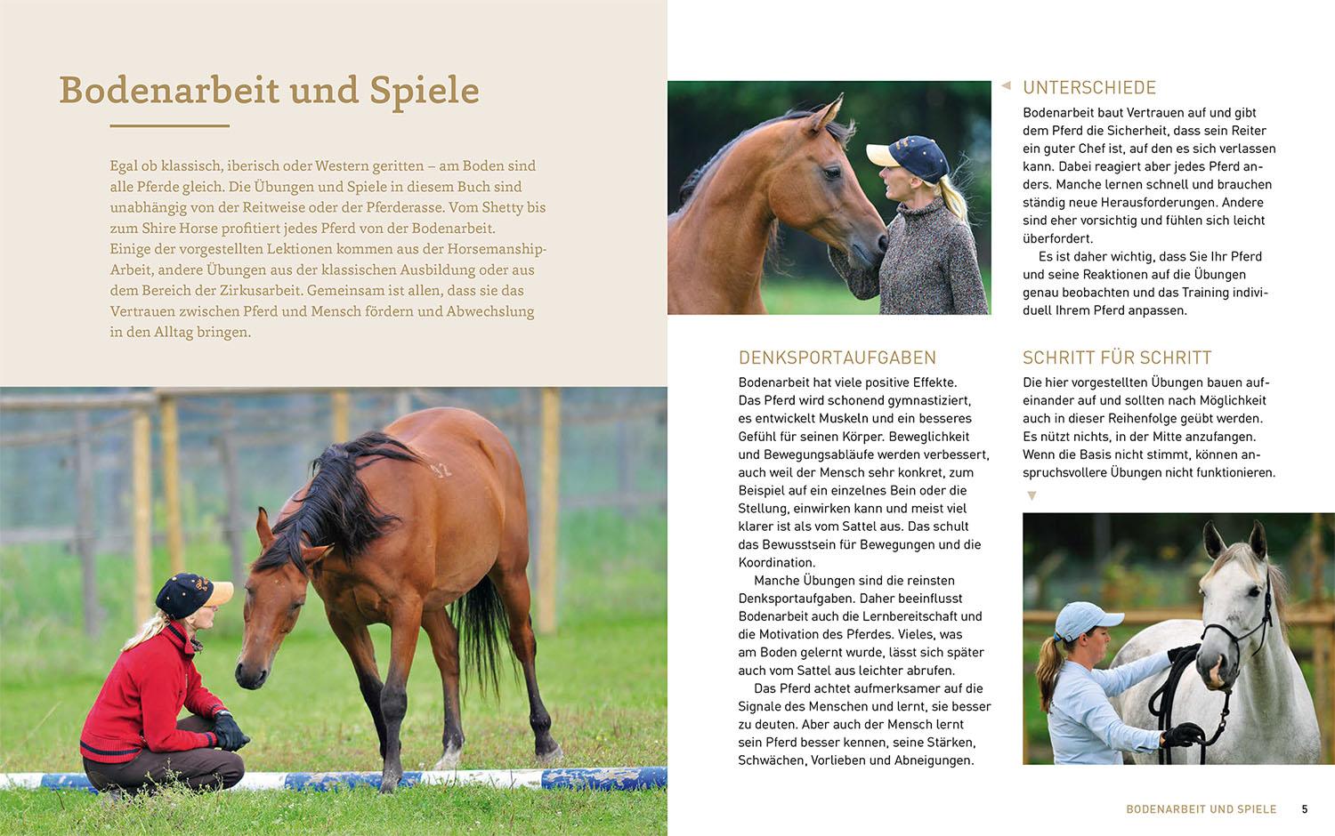 Beispielinhalt (Bild) Bodenarbeit mit Pferden