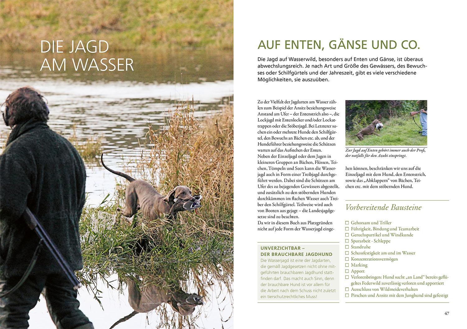 Beispielinhalt (Bild) Die Ausbildung des Jagdhundes
