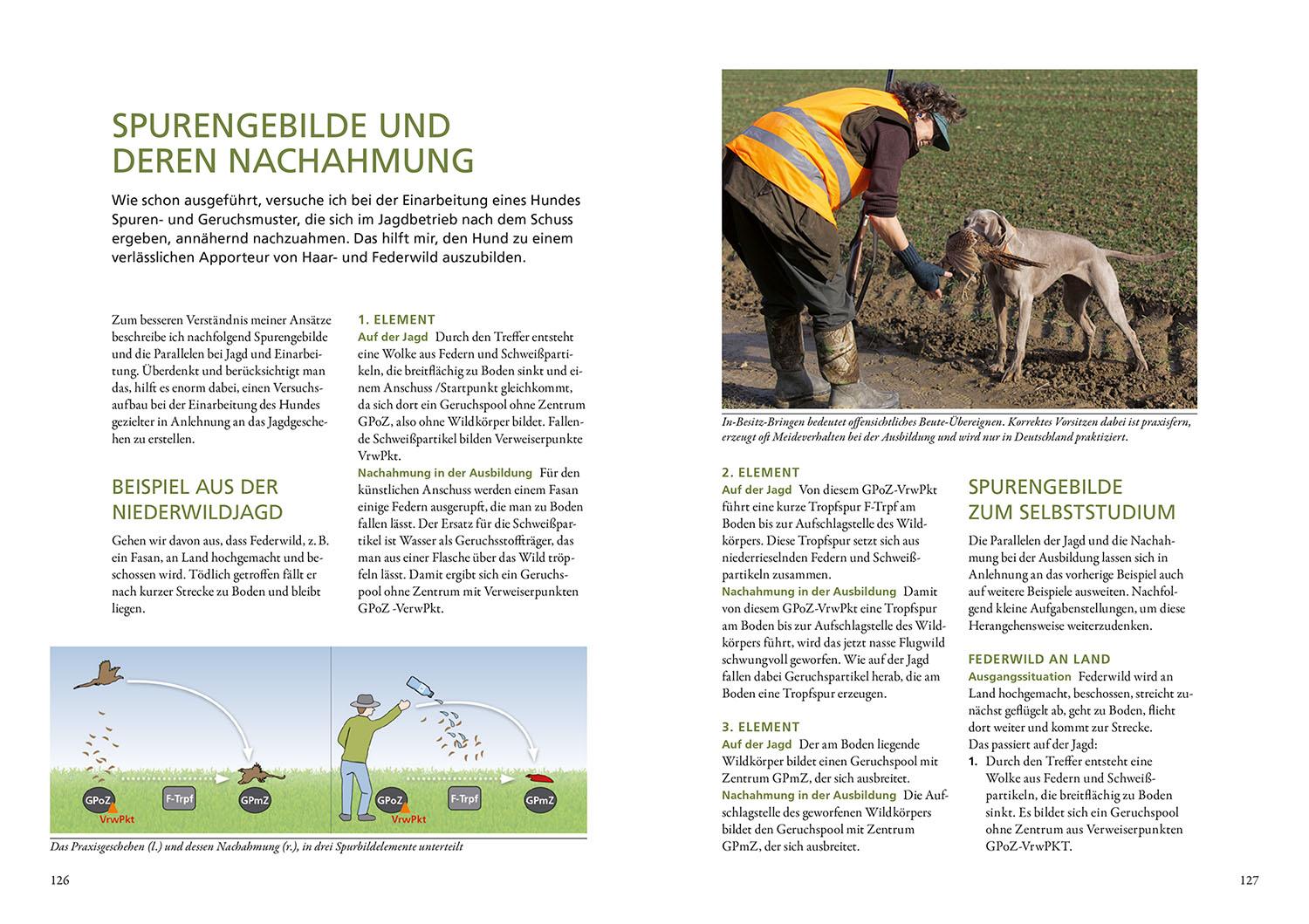 Beispielinhalt (Bild) Die Ausbildung des Jagdhundes