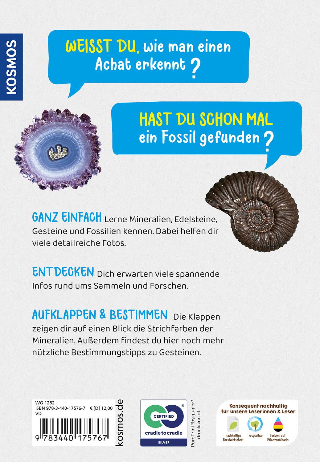 Beispielinhalt (Bild) Welcher Stein ist das? Kindernaturführer