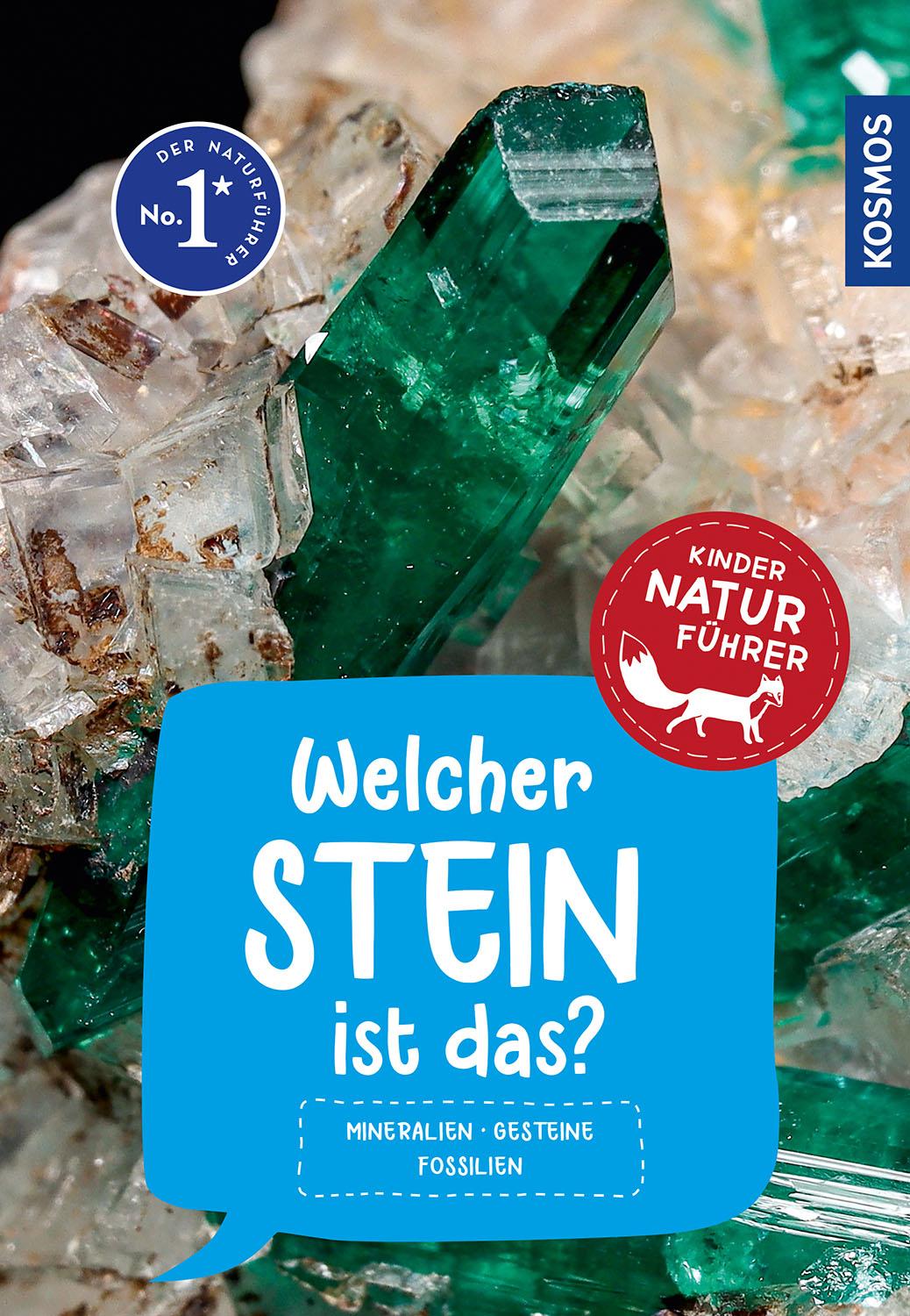 Vorderes Coverbild Welcher Stein ist das? Kindernaturführer