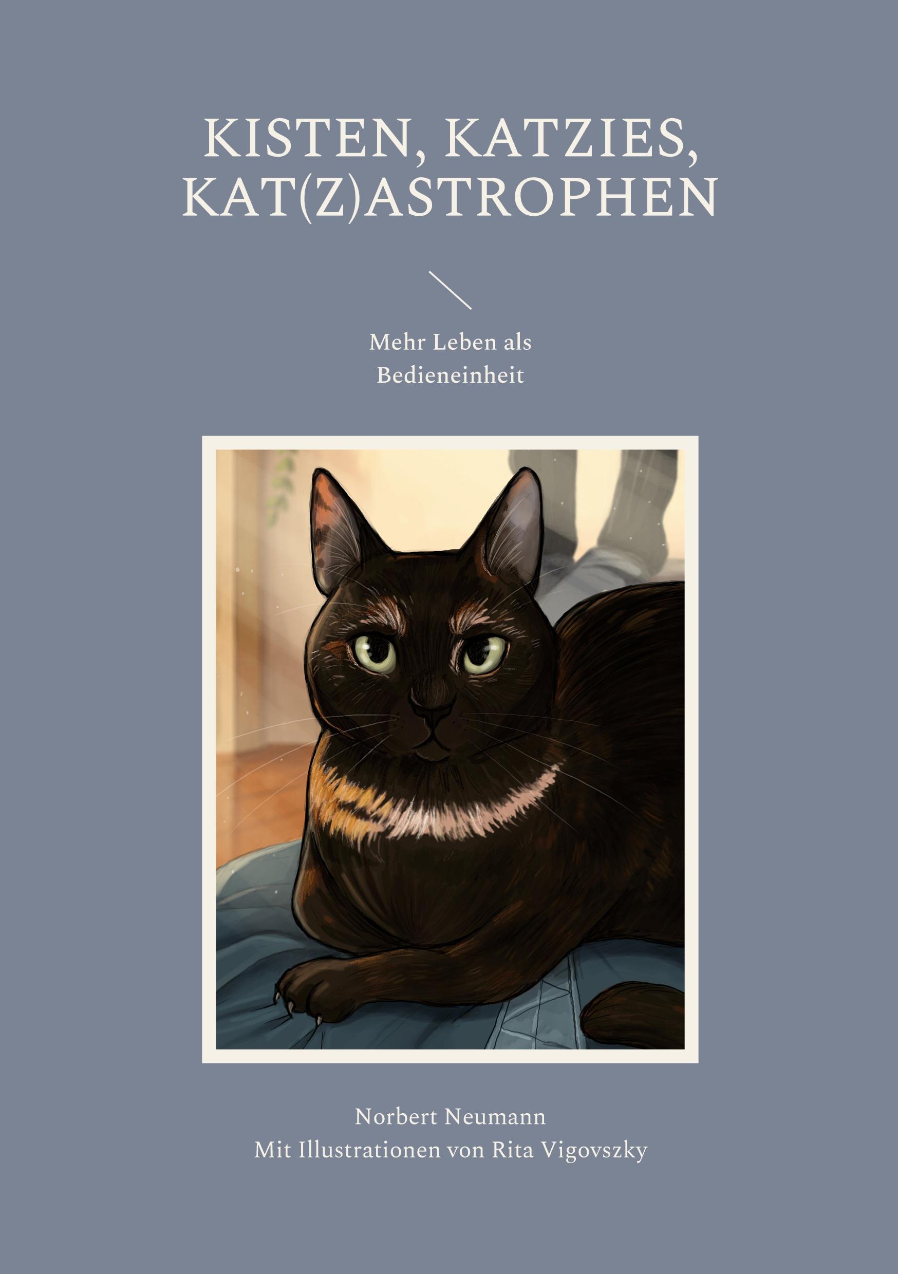Vorderes Coverbild Kisten, Katzies, Kat(z)astrophen