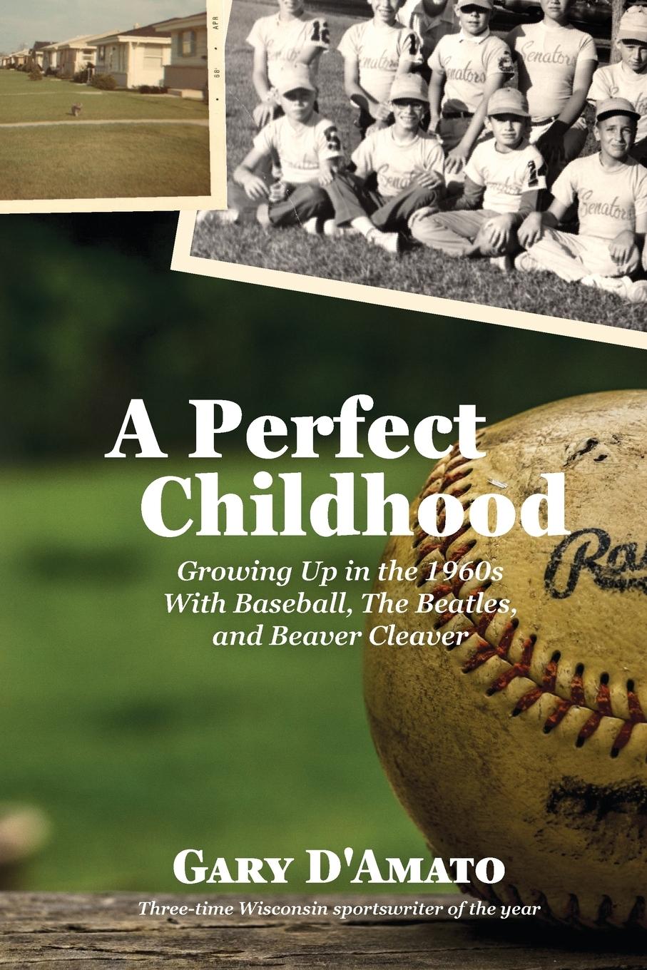 Vorderes Coverbild A Perfect Childhood