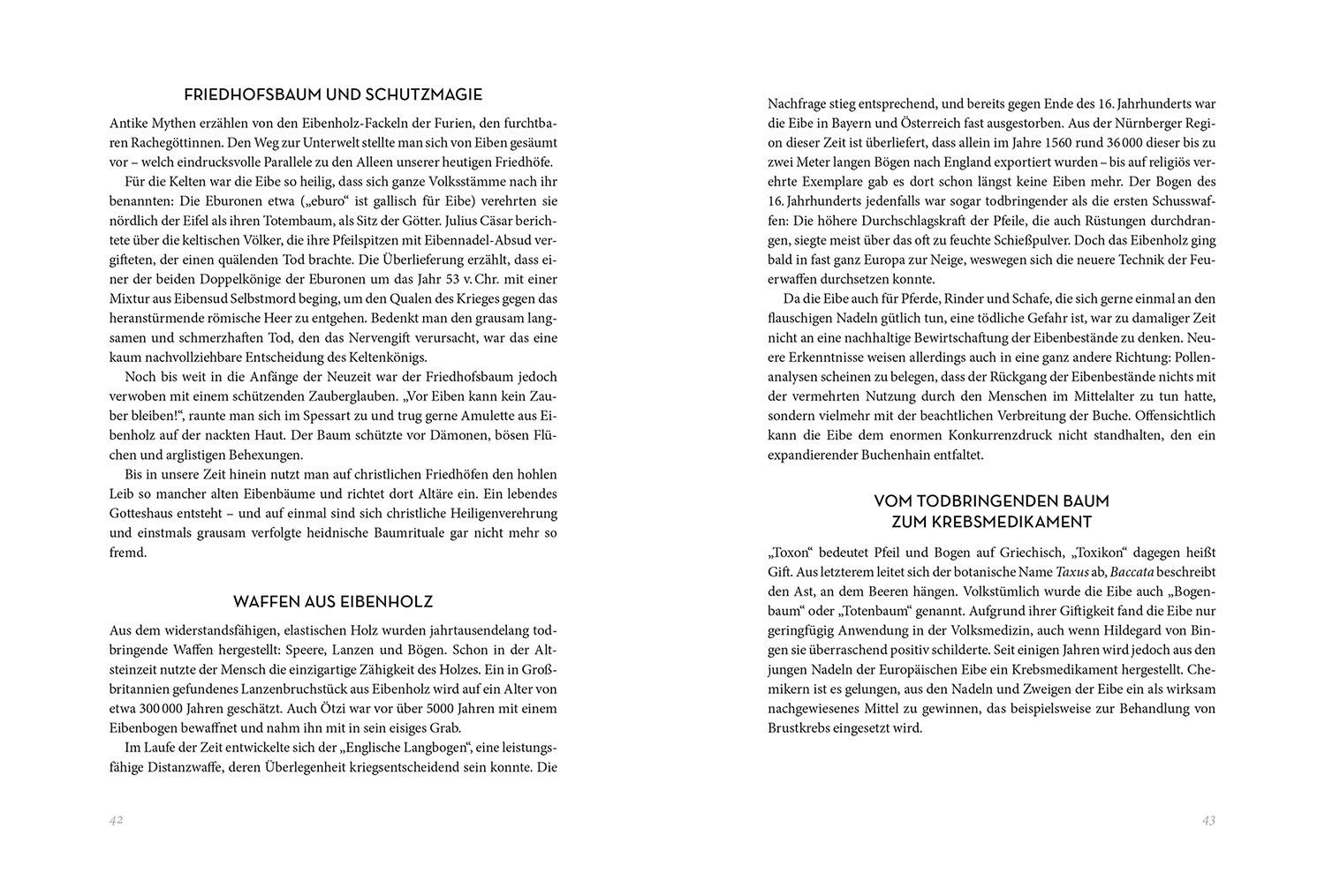 Beispielinhalt (Bild) Bäume