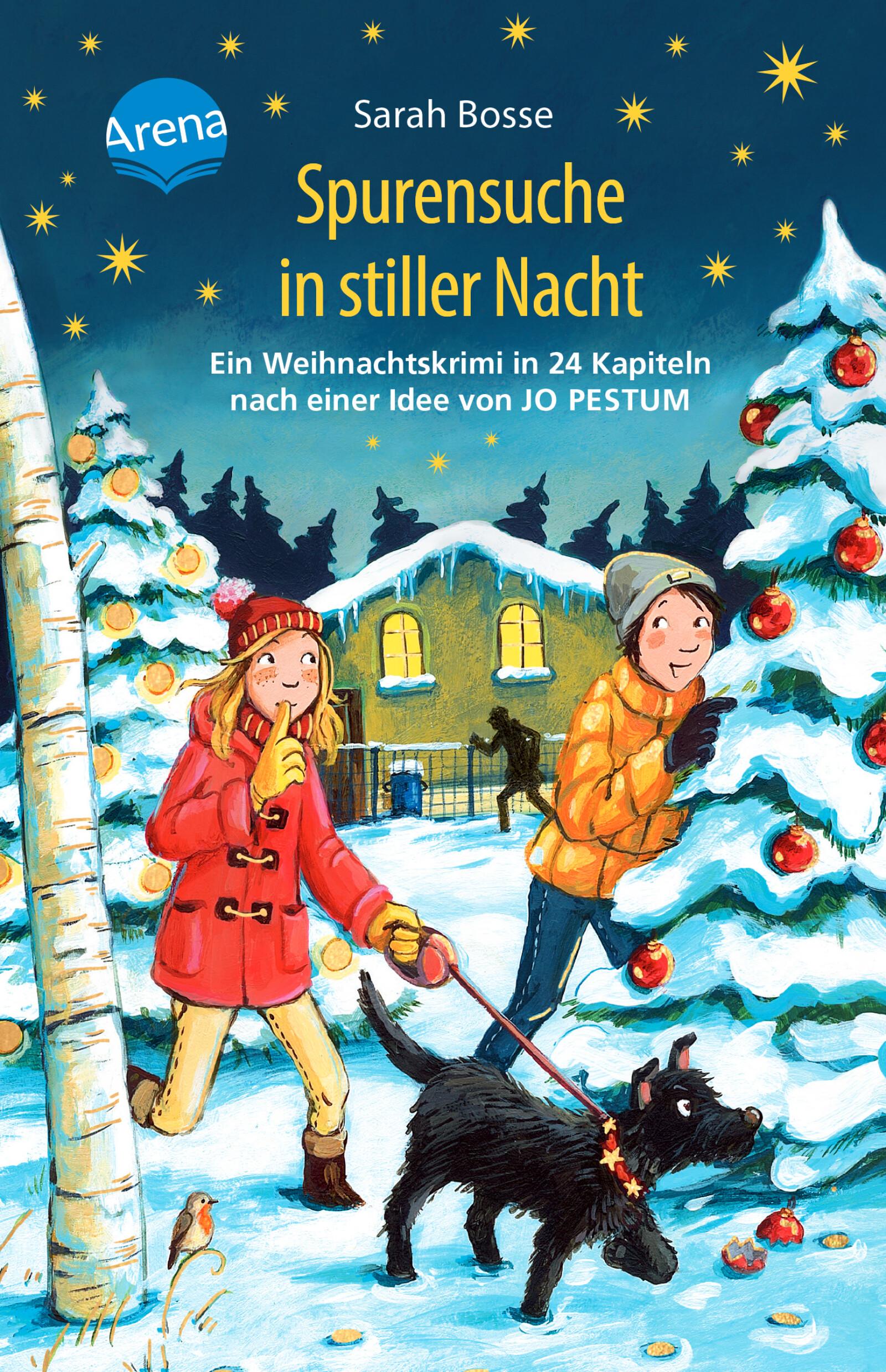 Vorderes Coverbild Spurensuche in stiller Nacht. Ein Weihnachtskrimi in 24 Kapiteln nach einer Idee von Jo Pestum
