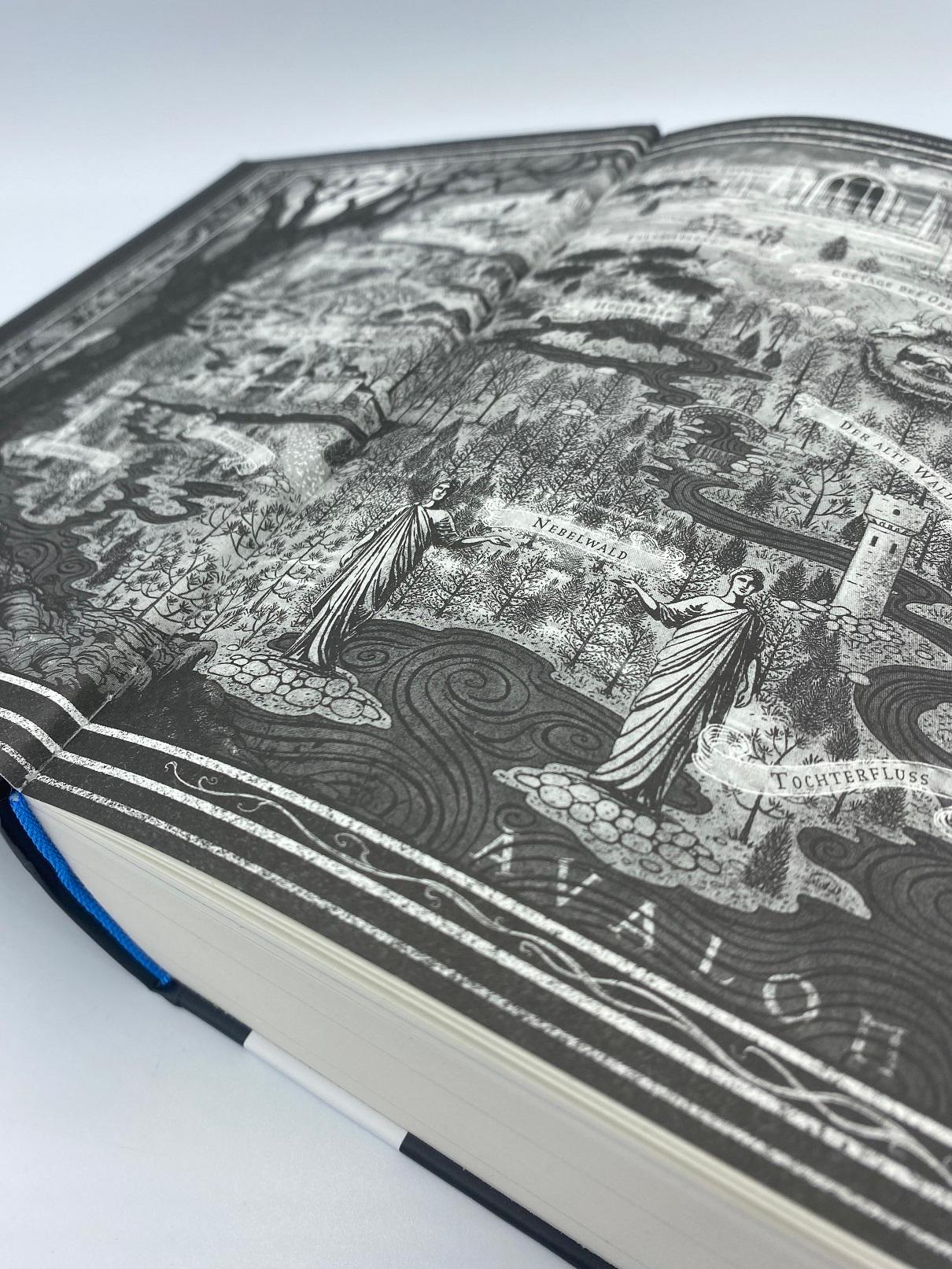 Beispielinhalt (Bild) Silver in the Bone. Brich den Fluch, bevor der Fluch dich bricht (Die Hollower-Saga 1)